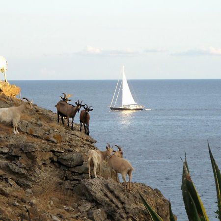 Isola D'Elba Come In Barca, A Un Tuffo Dal Mare Capoliveri  Exterior photo
