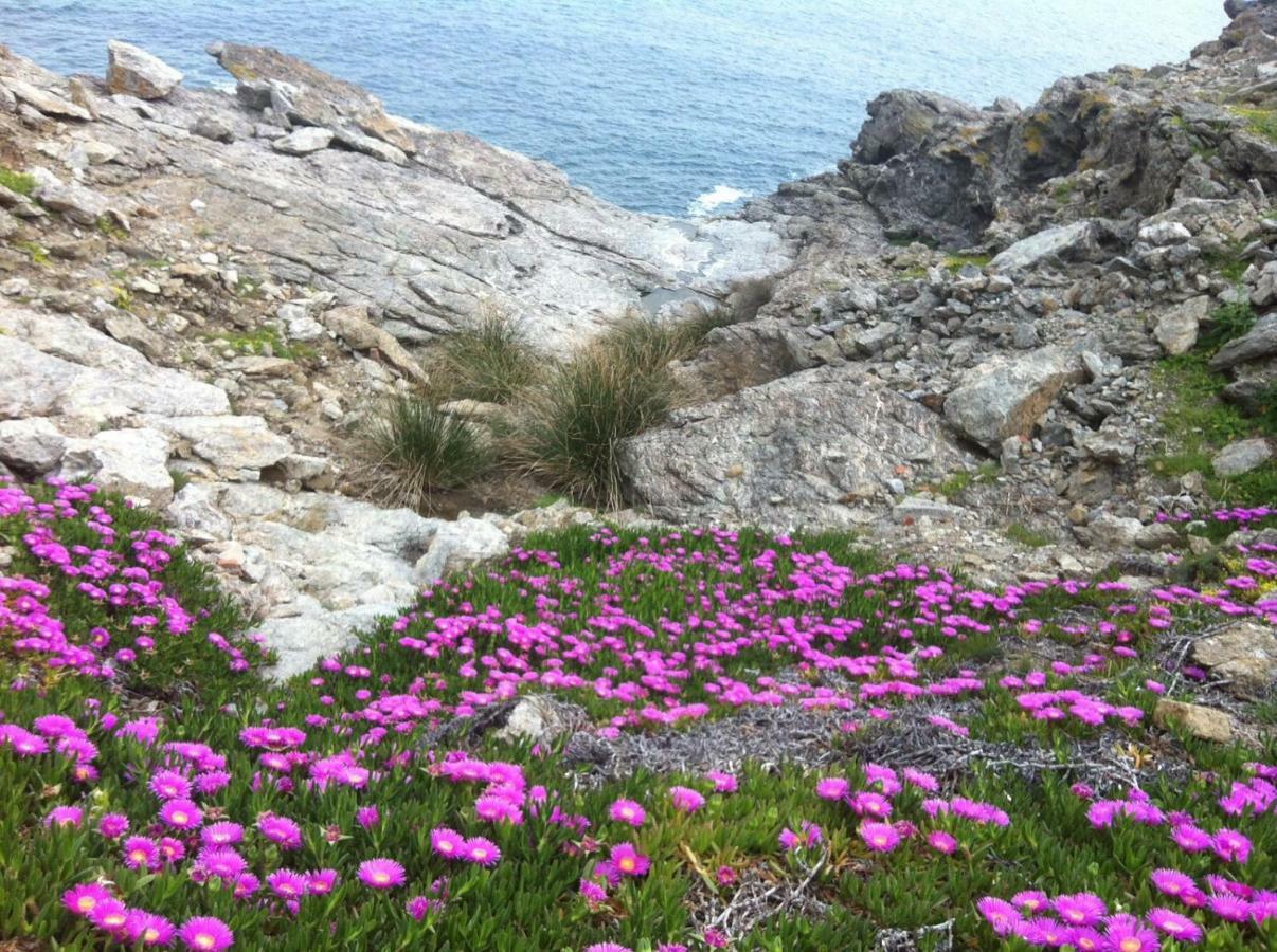 Isola D'Elba Come In Barca, A Un Tuffo Dal Mare Capoliveri  Exterior photo
