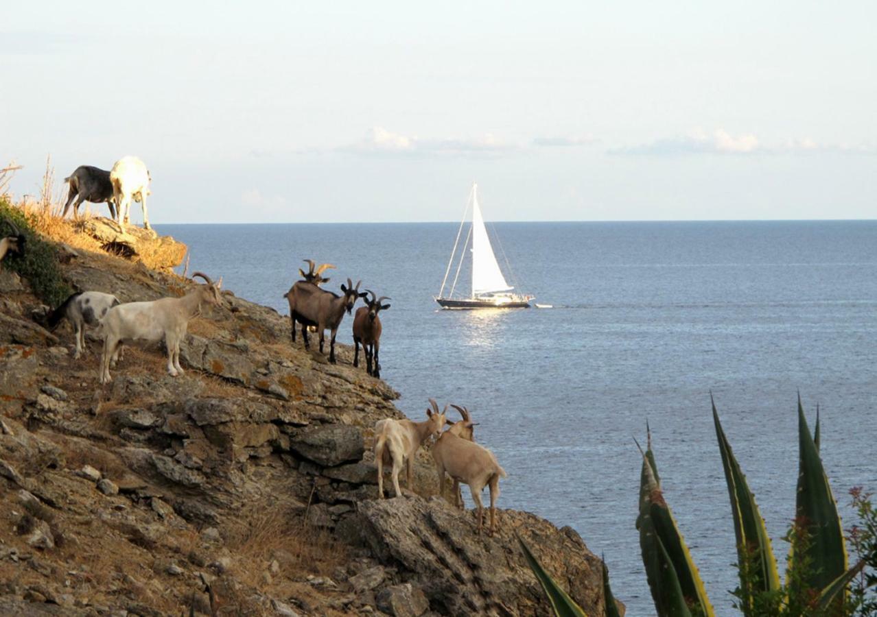Isola D'Elba Come In Barca, A Un Tuffo Dal Mare Capoliveri  Exterior photo